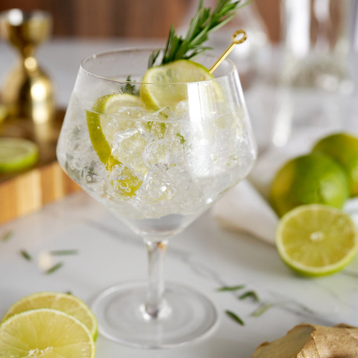 Angled Crystal Gin & Tonic Glasses by Viski® (9418)
