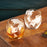 Globe Whiskey Tumblers by Viski® (9039)