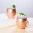 Hammered Moscow Mule Copper Mugs, 2 Pack, by True (7175)