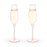 Rose Crystal Champagne Flute Set by Twine®