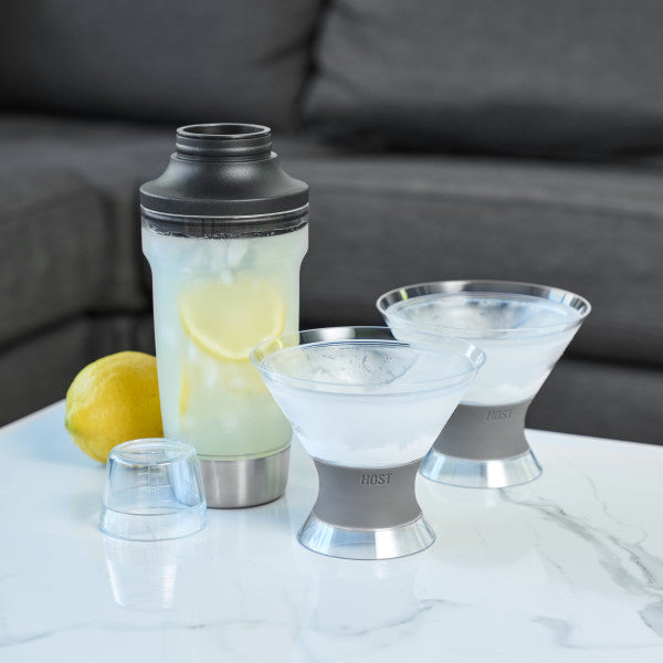 Martini FREEZE and Cocktail Shaker by HOST Bundle (10618)